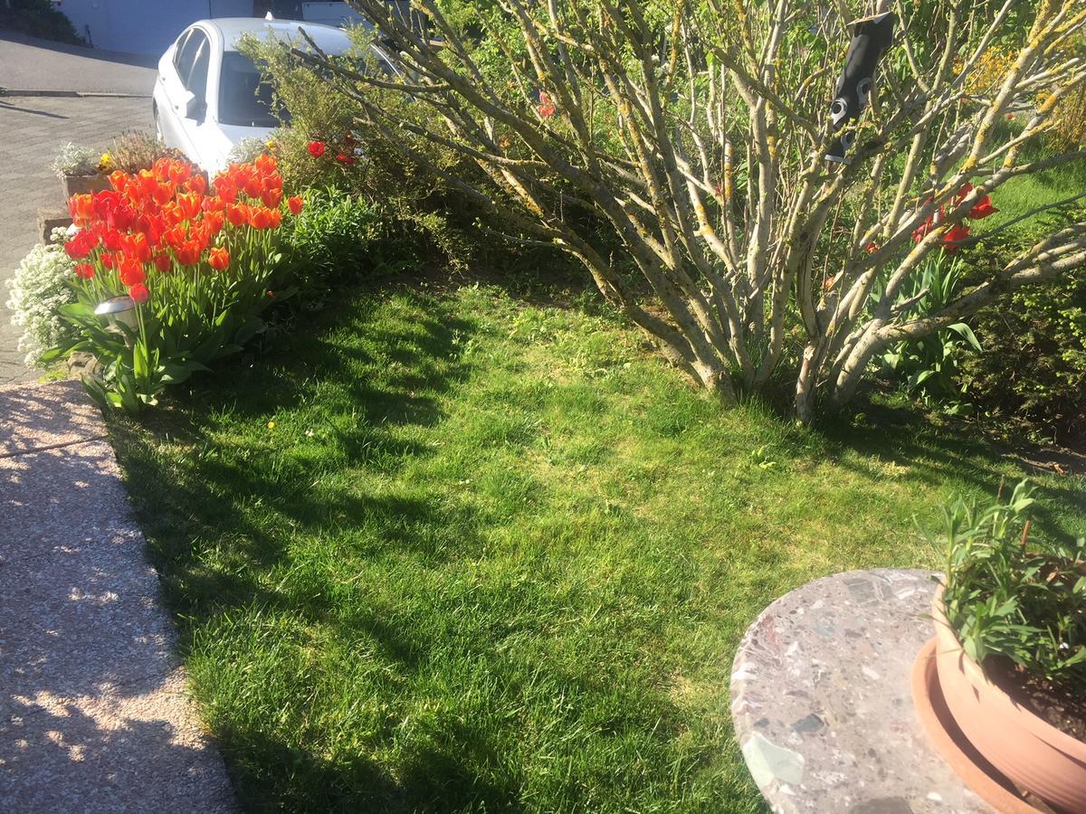 Bnb Parisod Aigle Exterior foto